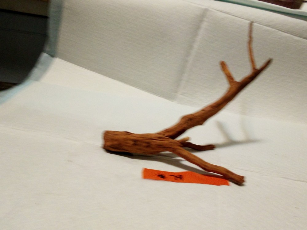 #79 Aquarium Driftwood Decoration