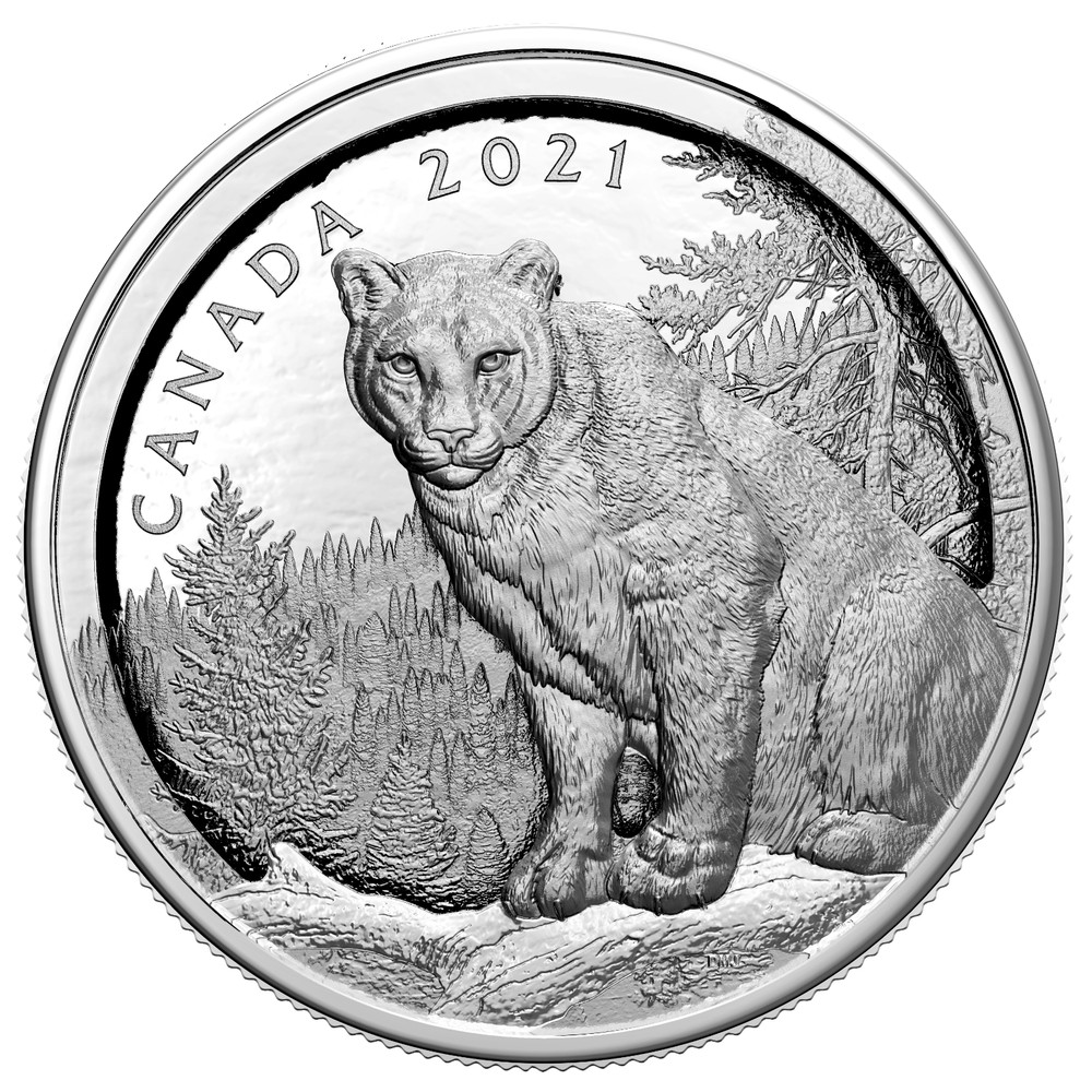 2021 Canada $50 3D Multilayer Cougar - Pure Silver Coin