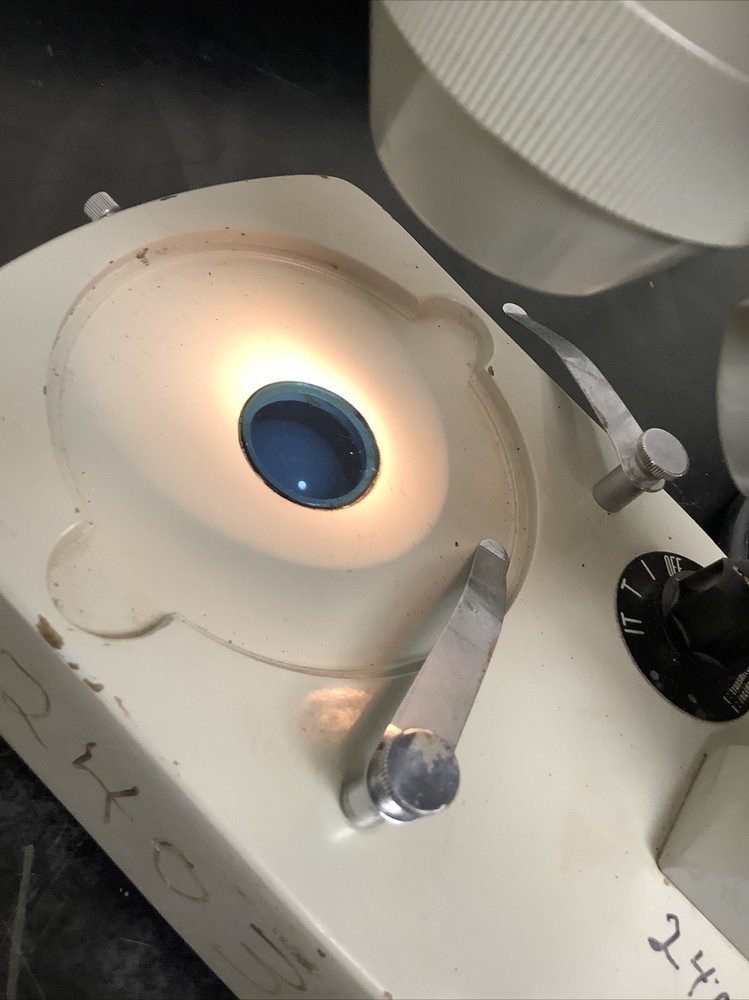 SPI 1838-3 20X - 40X Stereo Microscope - with base