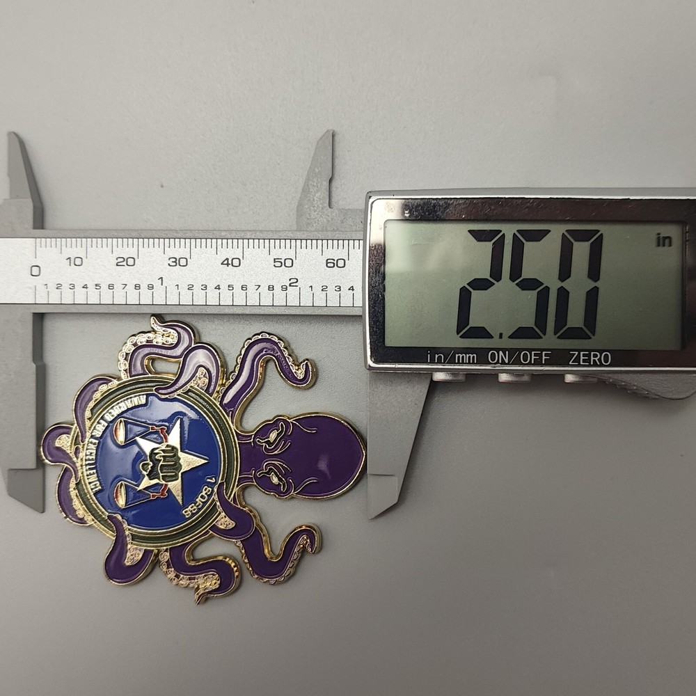 1 Sofss Awarded Por Excellence Challenge Coin