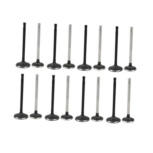 Intake Air-out Engine Valves Replacement for GM 2.0L 2.2L 2.4L Ecotec DOHC