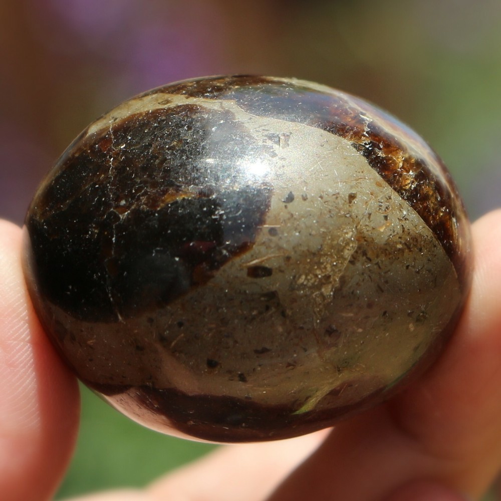 Polished Septarian Nodule (SEP96)