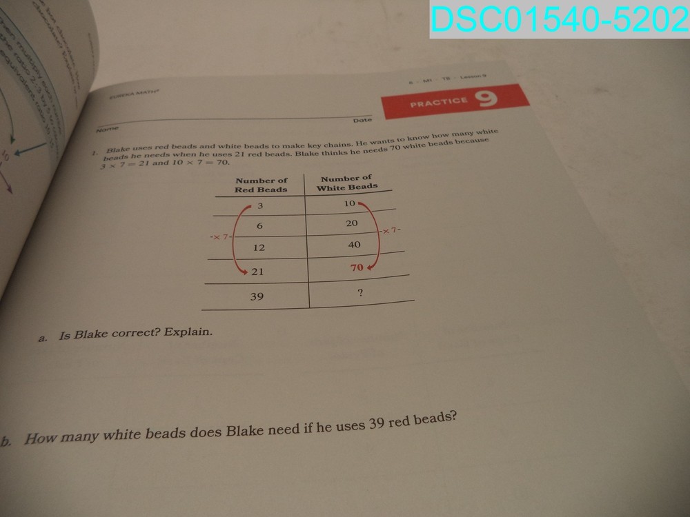 Eureka Math Squared Grade 6 Learn Module 1 9781644971192