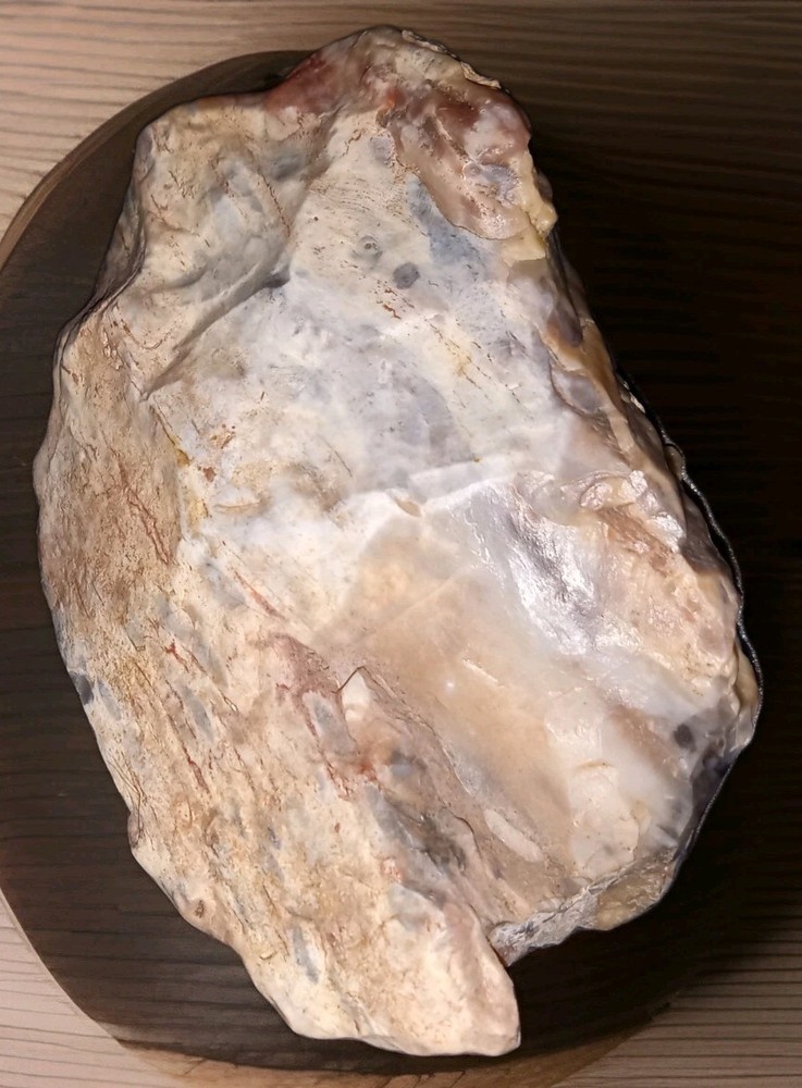 Opalized Petrified Wood Rough AZ 75g