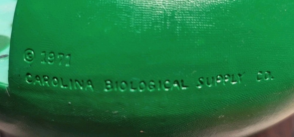 Bobbitt Laboratories Chloroplast Model Vintage