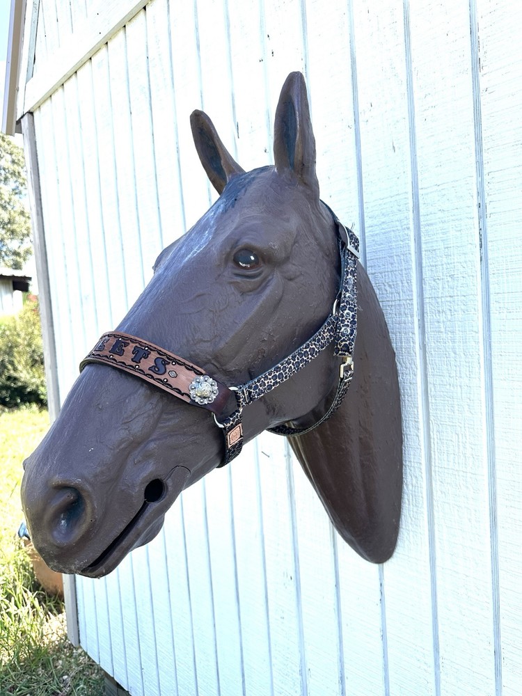 Personalized Nylon Horse Halter Cheetah