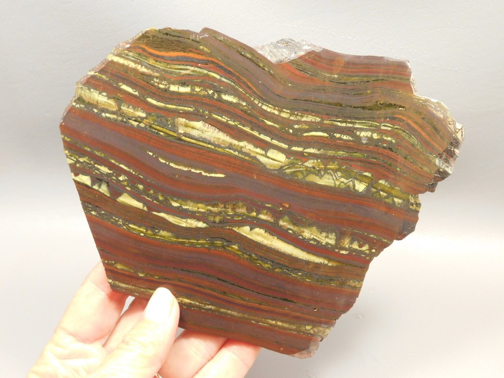 Tiger Iron Rough Rock Lapidary Stone Slab Cabbing #O1