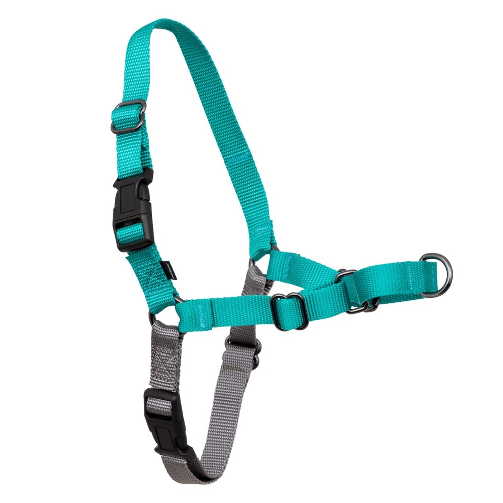 PetSafe Easy Walk Harness Small Teal/Gray
