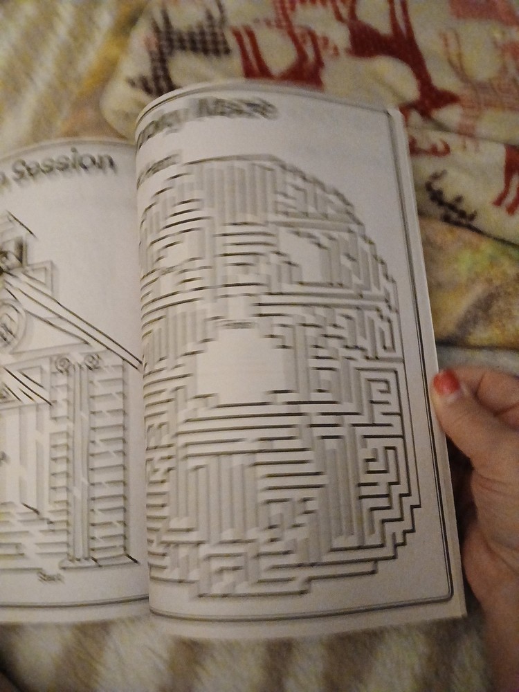 MAZE CRAZE Activity KIDS' Book