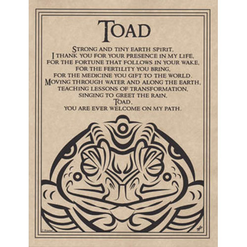 Toad Blessing poster