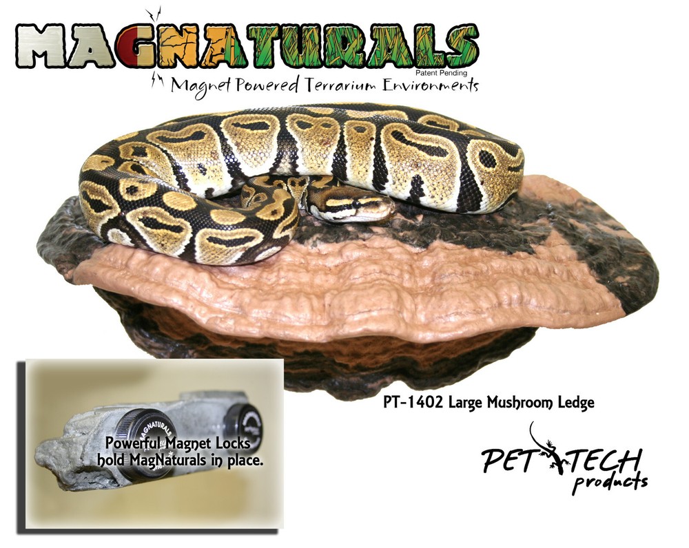 Magnaturals Large Mushroom Ledge