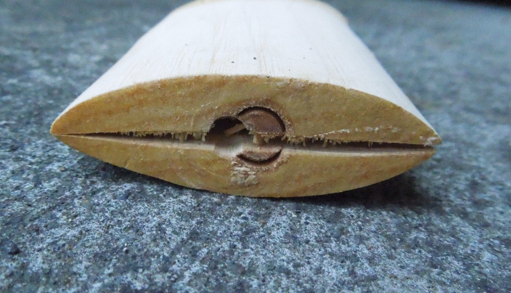 28 1/2 " Hickory Axe Handle with wedges