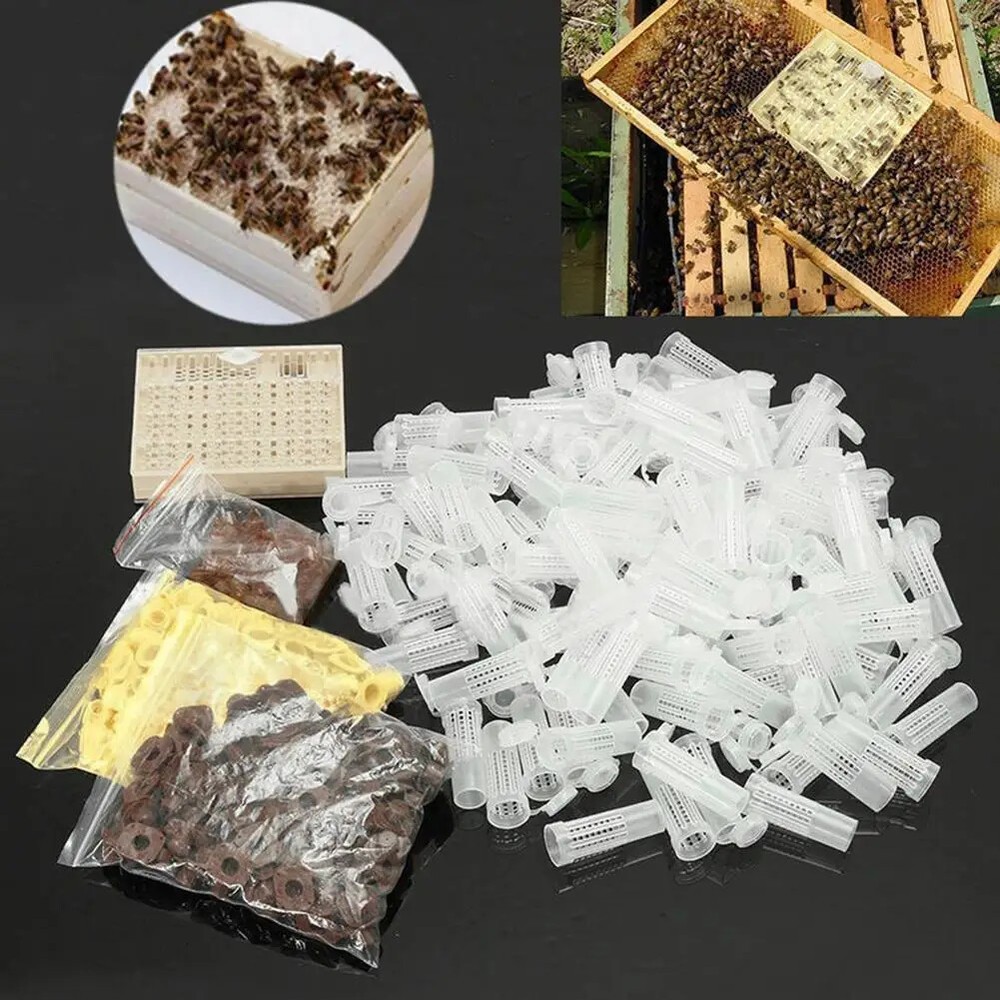 Beekeeping Tool Queen Rearing System Cultivating Box 120pcs Plastic Bee Cell Cup
