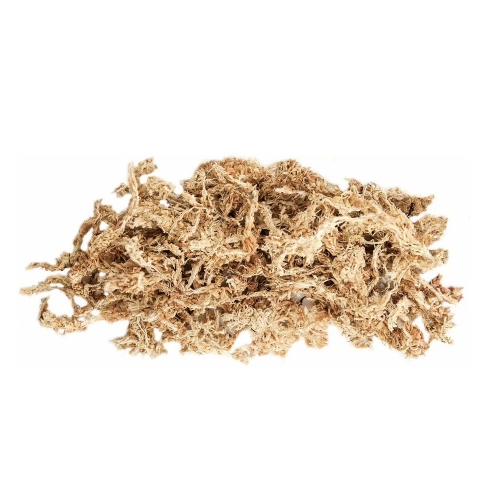 Galapagos Terrarium Starter Kit, Arid