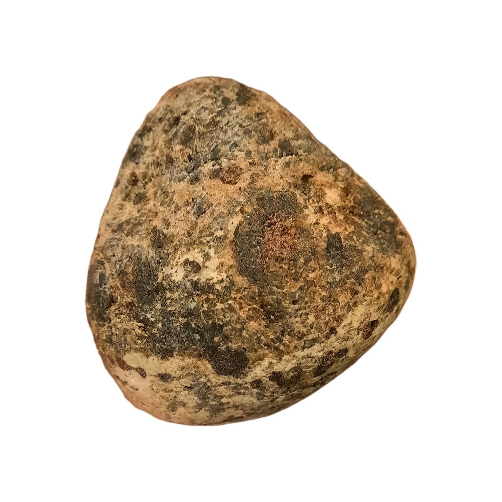 Garnet In Metamorphic Matrix Host Rock