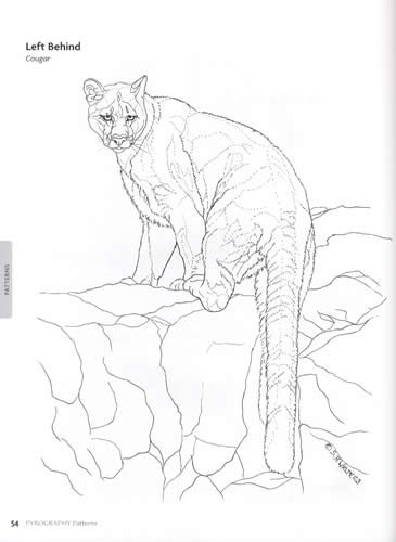 Pyrography Patterns 30 Wildlife Woodburning Designs, Basic Techniques, Texturing