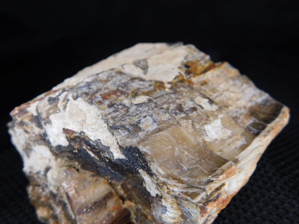 Translucent Agatized and Opalized Limb Cast Central WA Vintage 2 lbs. 14oz