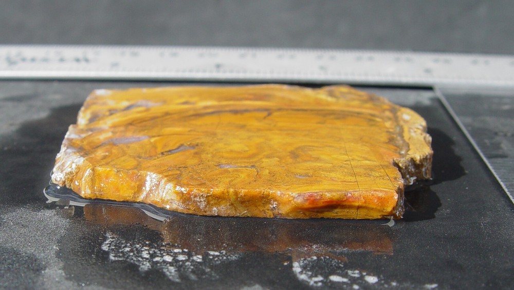 Roostertail Agate Lapidary Slab 1342