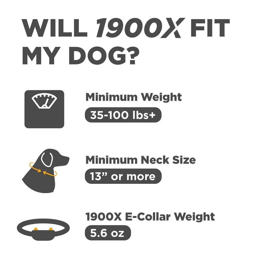 Dogtra Additional Collar for 1900X Blue LED E-Collar Light