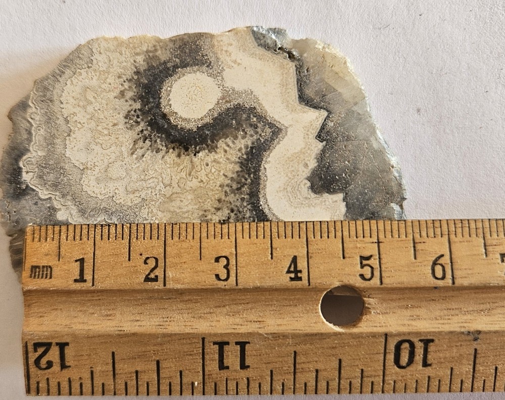 Unknown Interesting Lapidary Slab 27 Grams