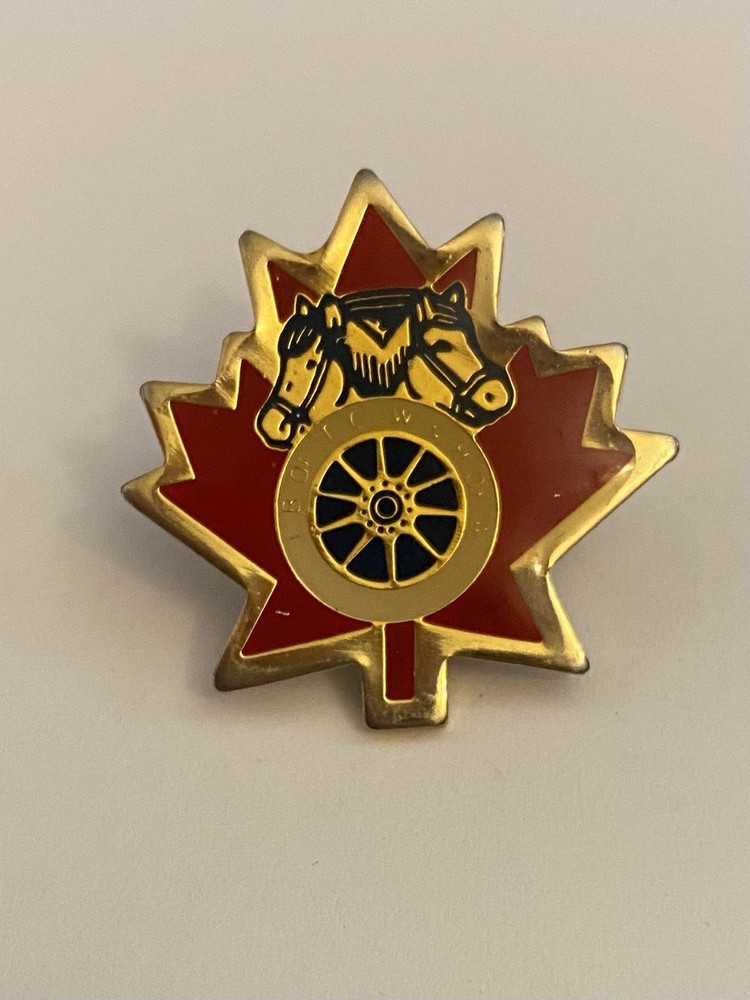 Teamsters Canada Lapel Pin P177