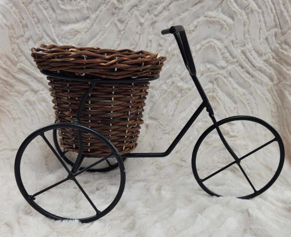 Tricycle Catchall Wicker Iron Planter