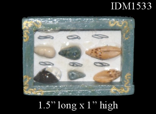 Sea Shell Collection Dollhouse Miniature 1:12 scale
