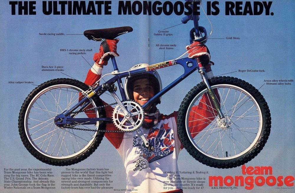 1978-79 Team Mongoose decal set