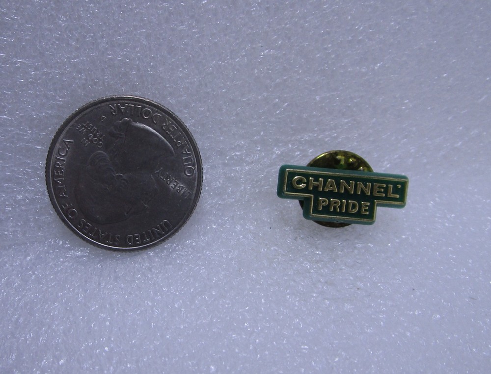 Channel Pride Plastic Pin