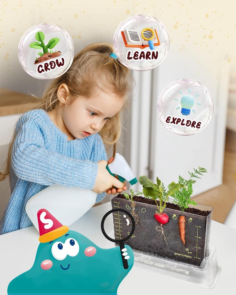 Root Viewer Kit for Kids with 6 Seed Varieties - STEM Science Kits Small