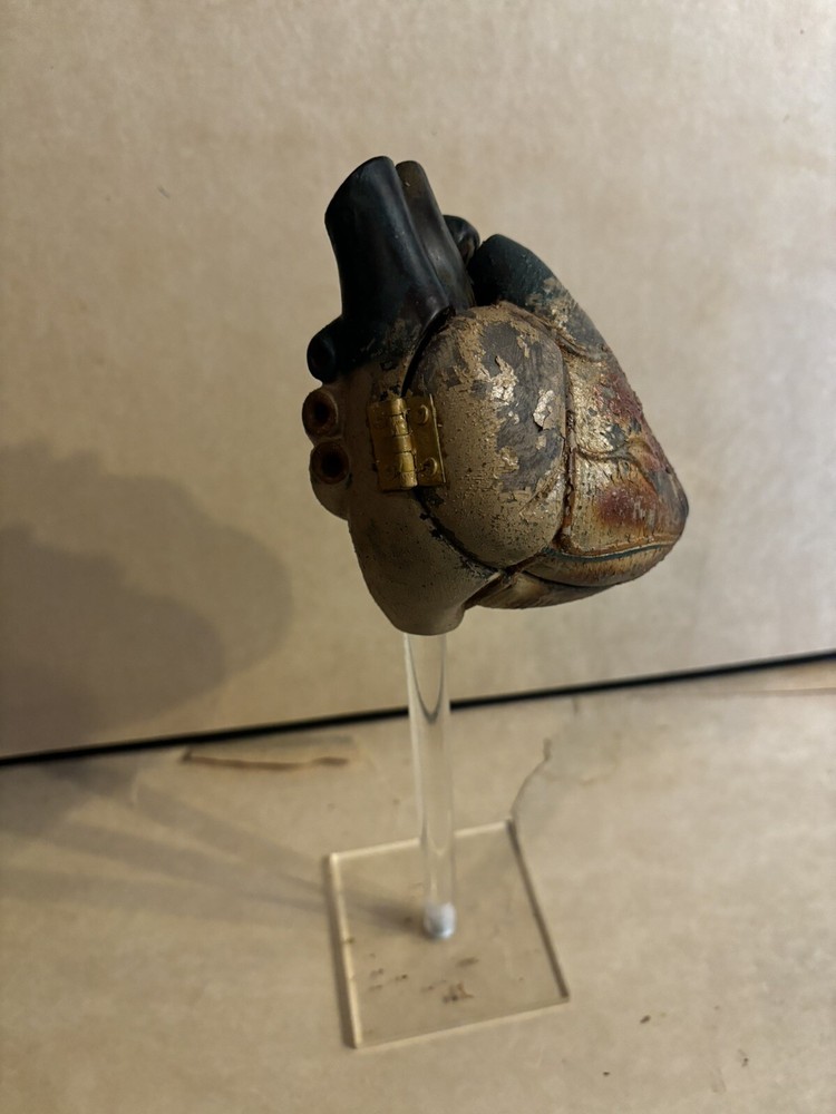 Antique Human Heart Anatomical Model