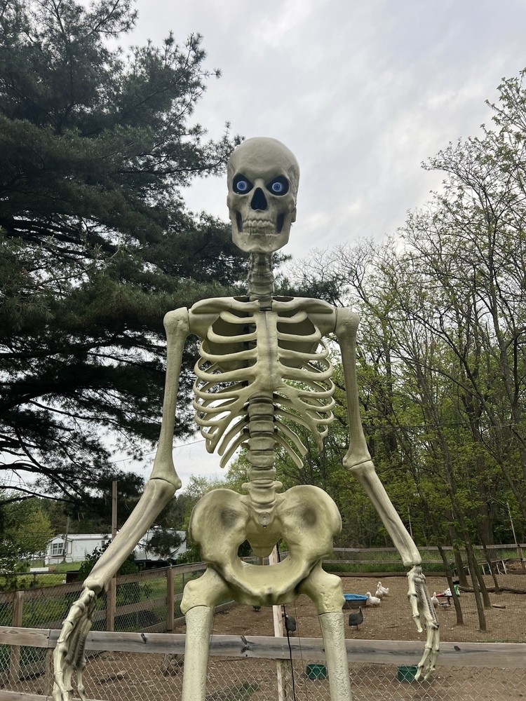 12’ Skeleton Head Turning Module Motorized Accessory For Home Depot Skelly