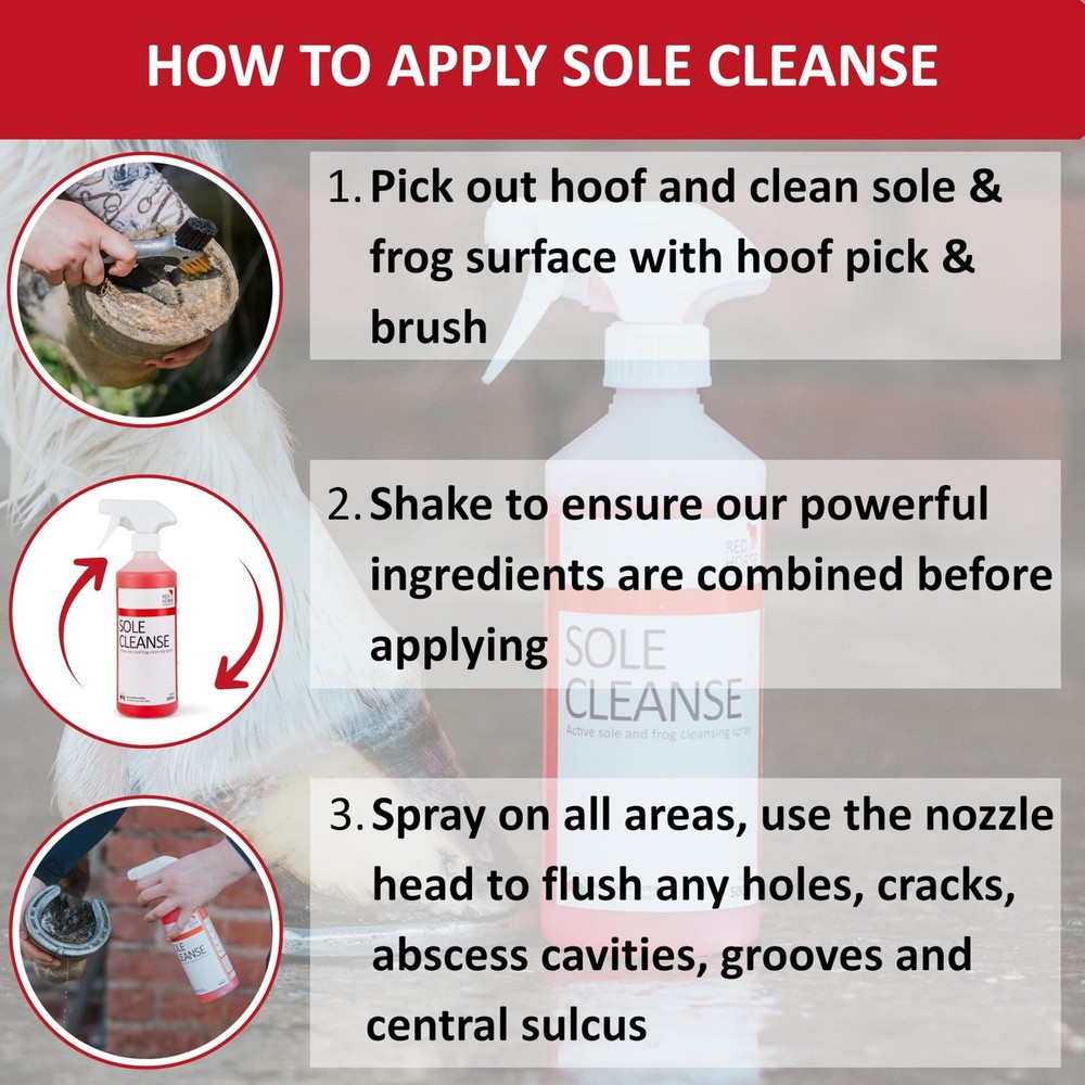 Sole Cleanse 500ml