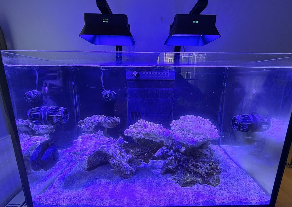 Reefi Uno 2.0 and 2.1 Light Shade