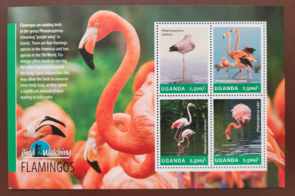 Uganda 2014 / Birds - Flamingos  / 4v ms