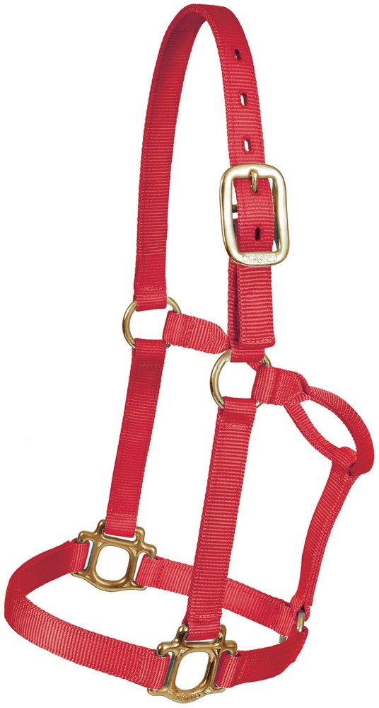 Yearling Traditional Nylon Halter