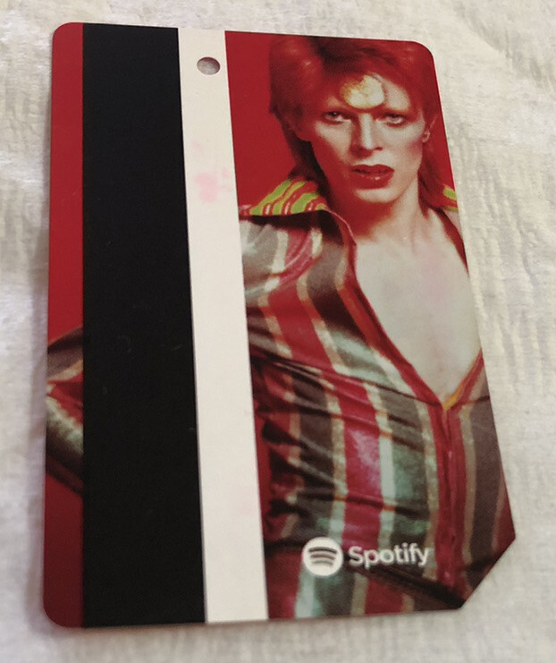 DAVID BOWIE  NYC TRANSIT METRO CARD