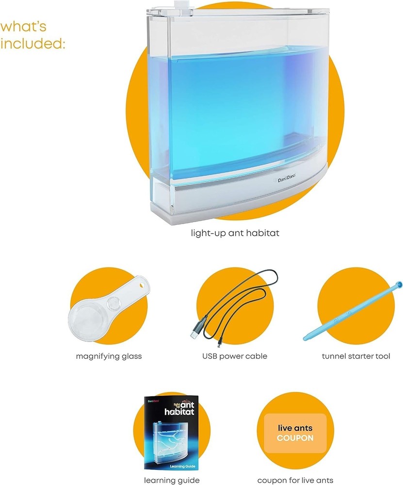 STEM Educational Ant Farm with Rechargeable LED - Fun Learning for Children