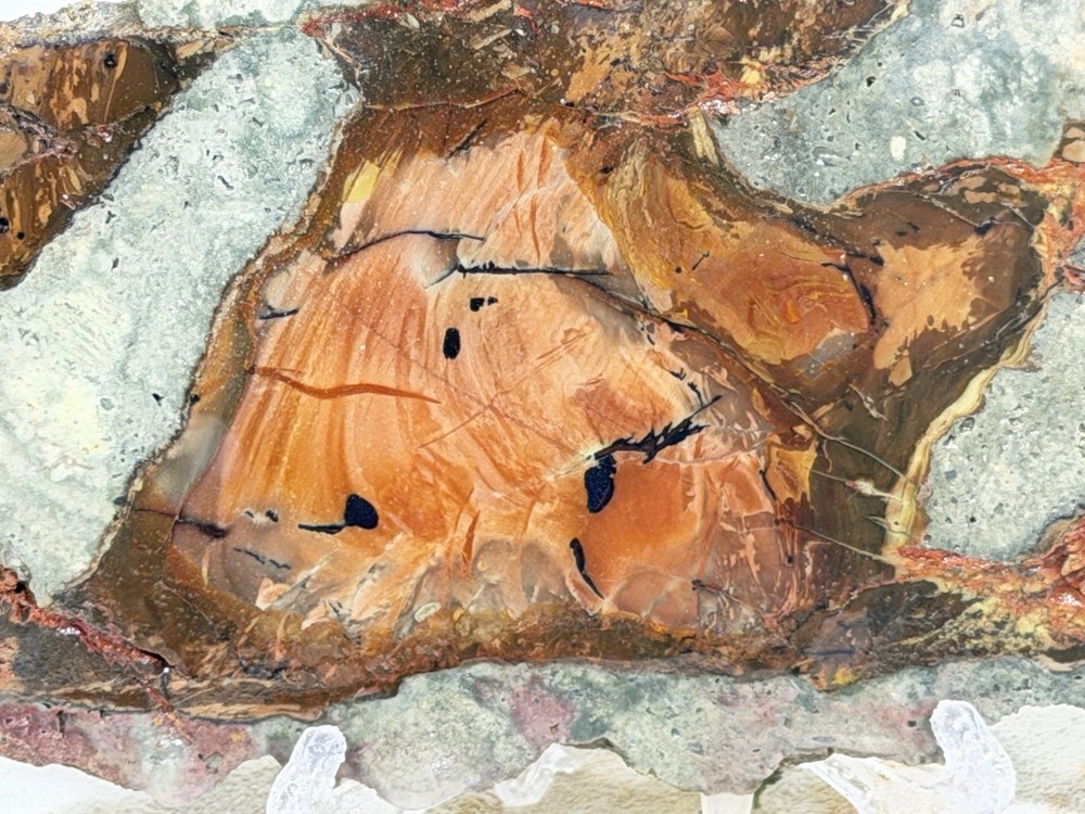 Carrasite Jasper Slab, Lot#164