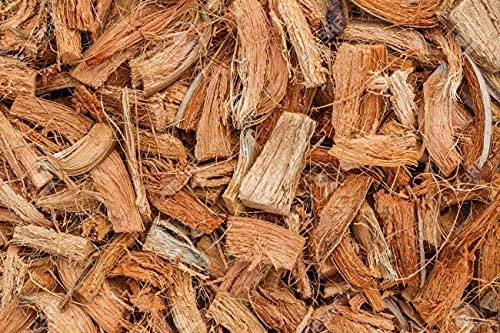 Coco Chips for Plants (650gm Bricks, 5-Pack) - Coco Chips 650gm (5 Bricks)