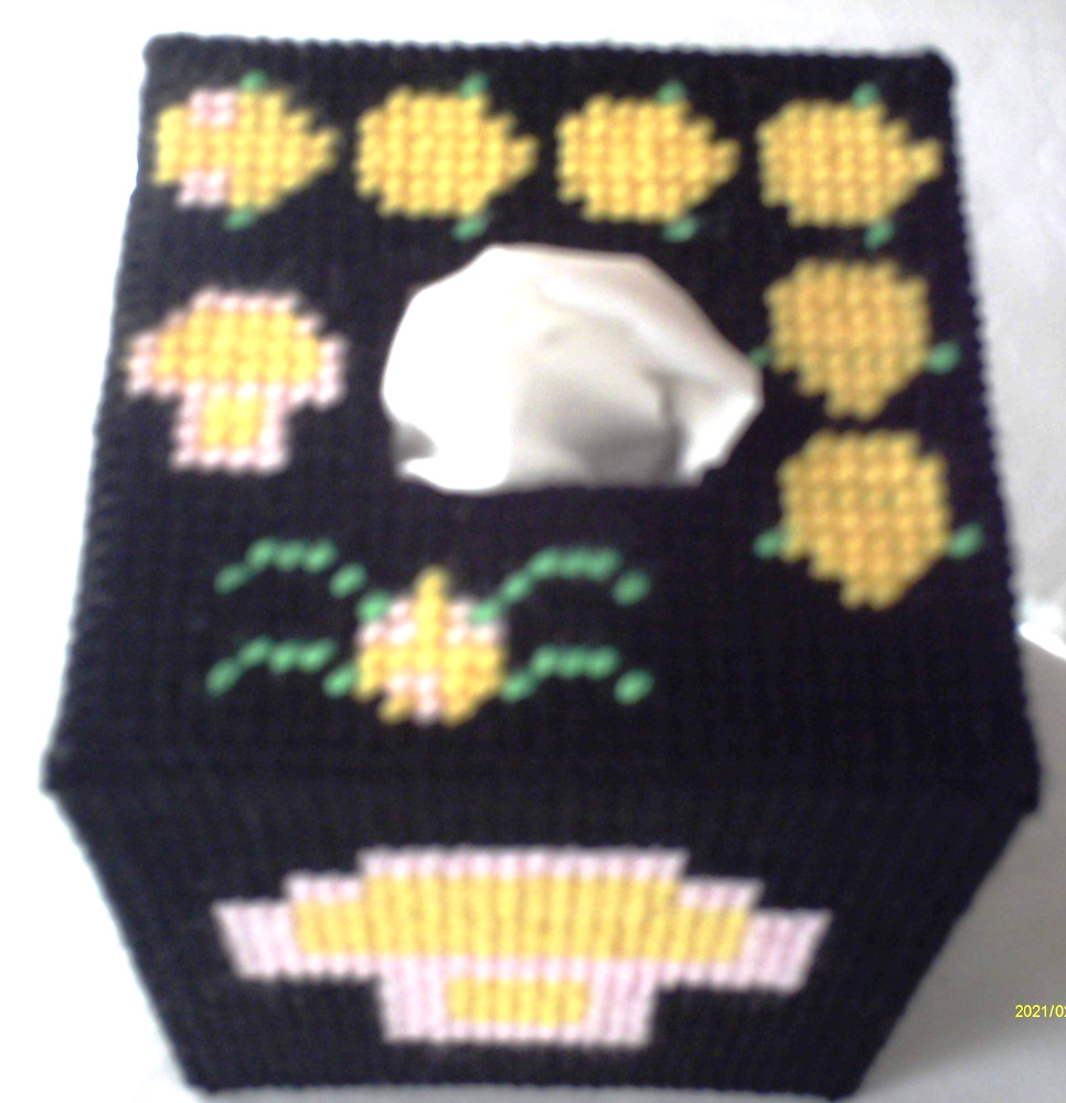 "Centipede" Tissue Box Cover (Plastic & Yarn) Finished