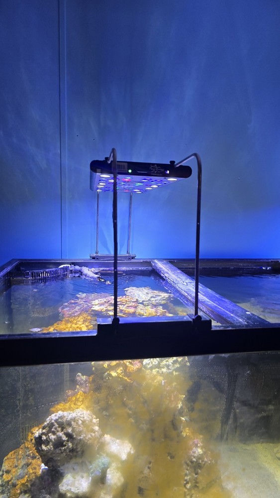 Reef Breeders 24 Photon V2 pro