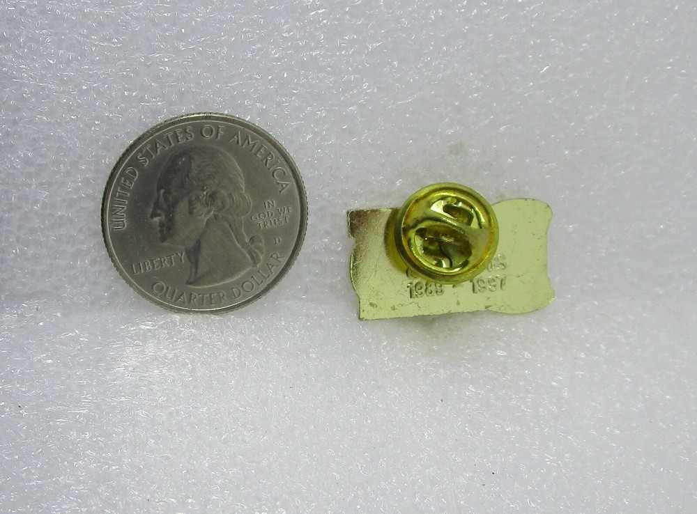 Student Government Pin