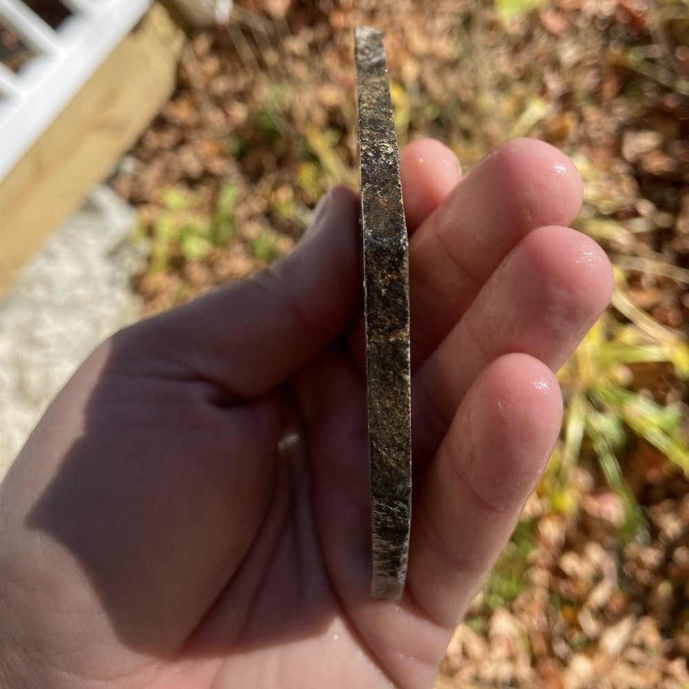 Dendritic Agate Grade A Old Stock Slab 2.48 Oz