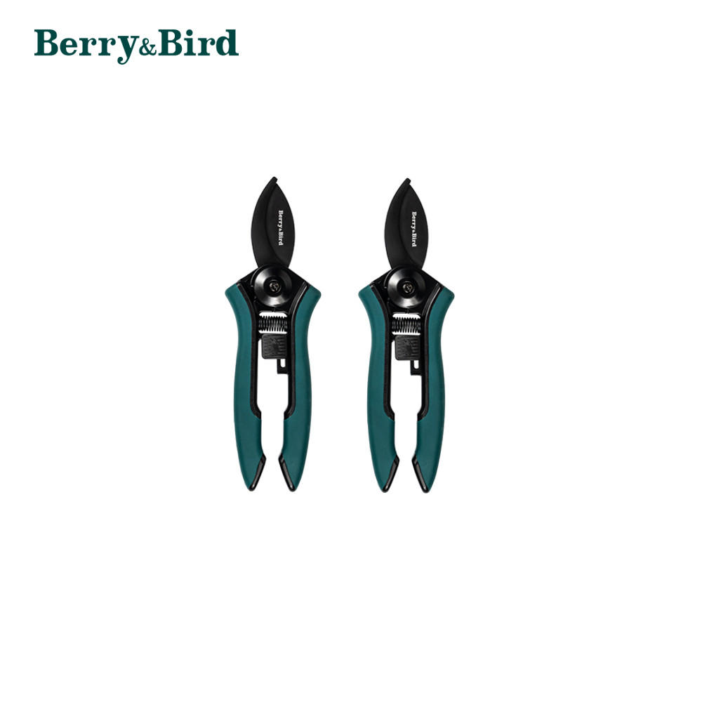 Berry&Bird 2pcs Garden Pruning Shears Mini Micro-Tip Pruning Snips Hand Pruner