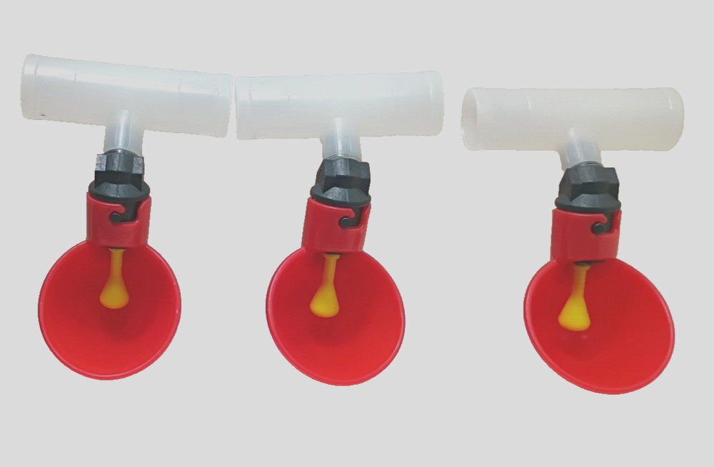 x3) Poultry / Chicken -Drinking Cups