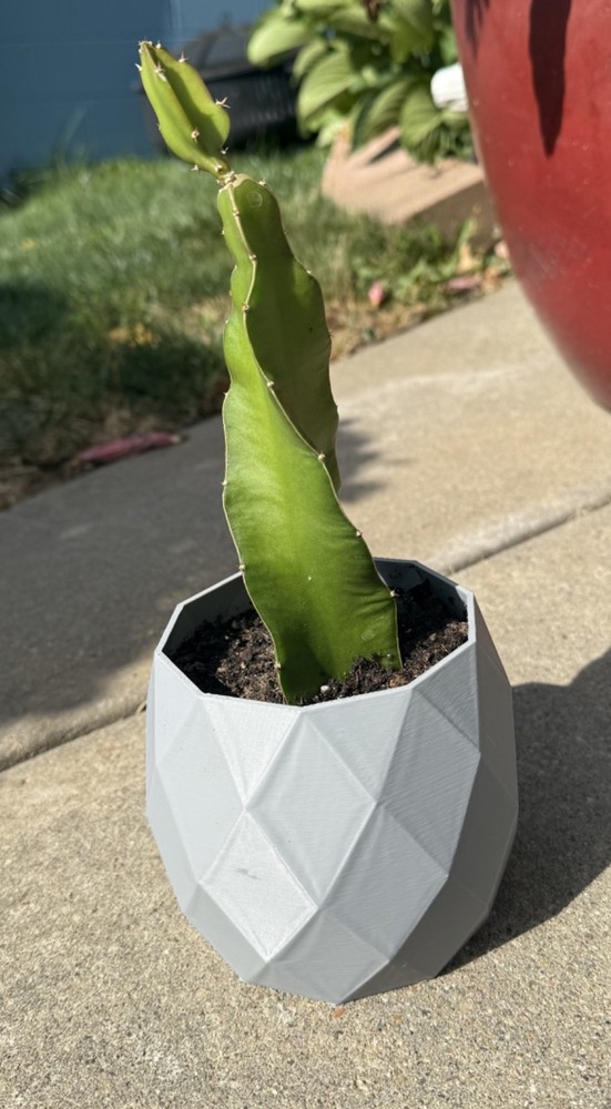 Modern 3D Printed  Geometric Planter Pot