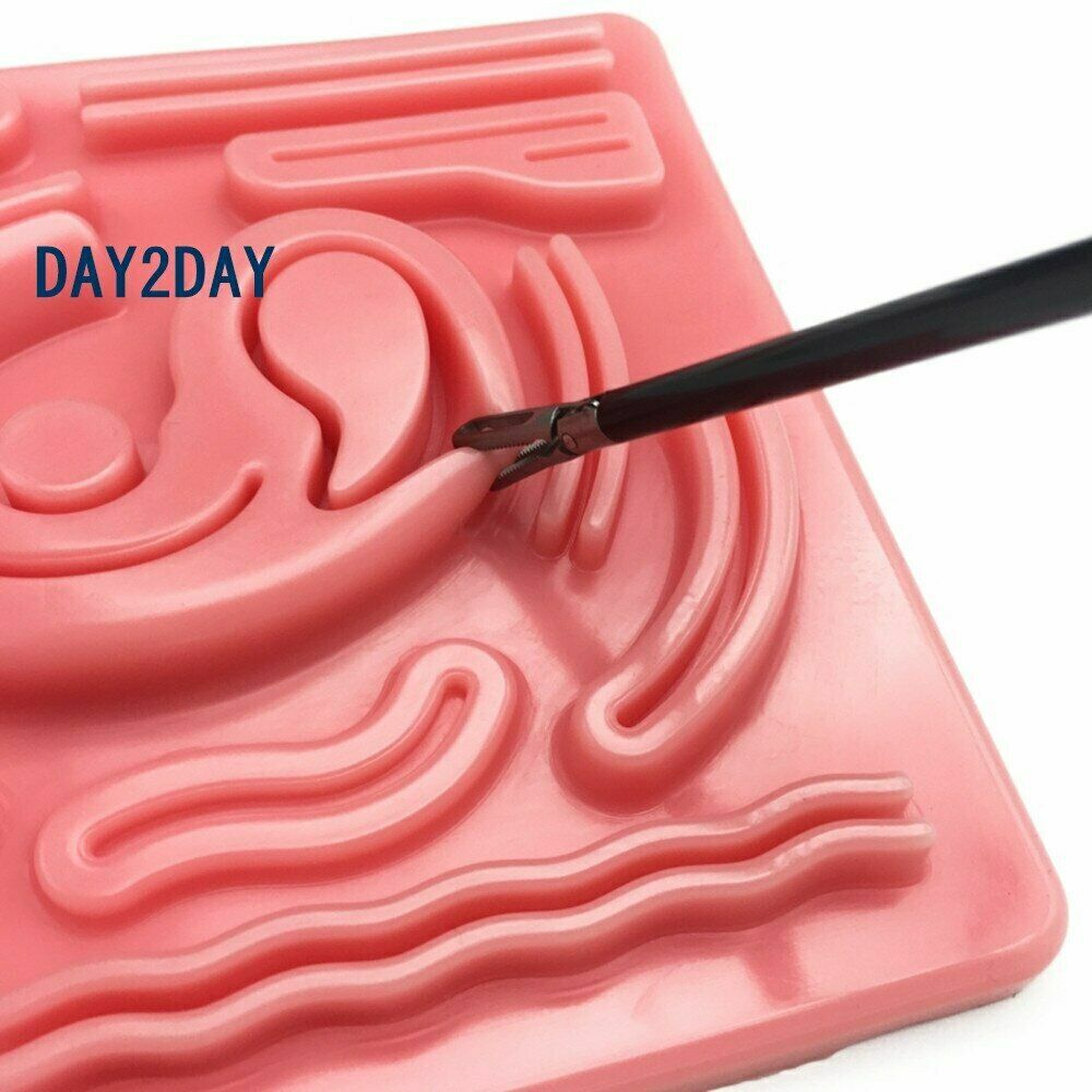 Laparoscopic 3D suture training module and Intestinal Suture Training Model