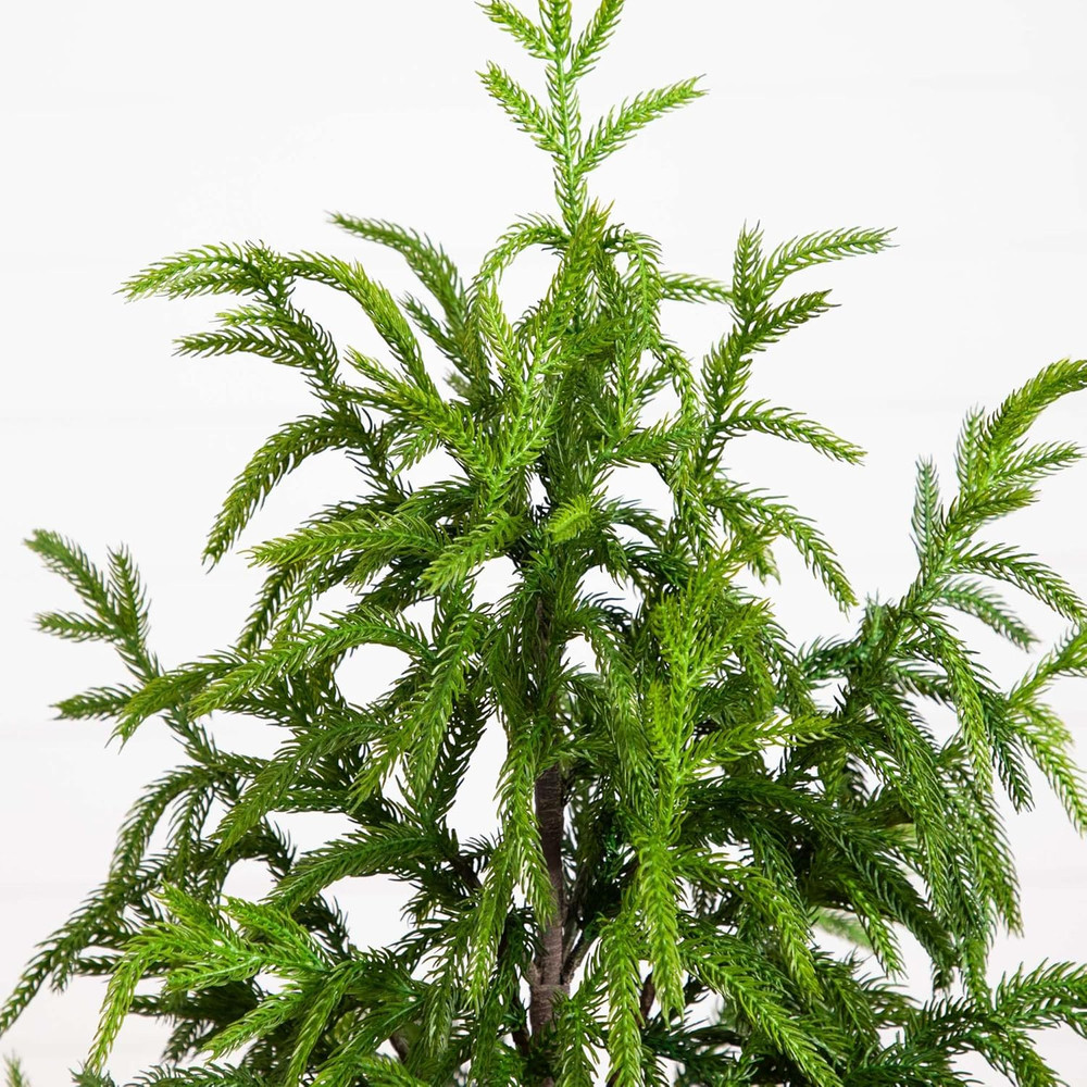 4Ft. Artificial Norfolk Pine Tree
