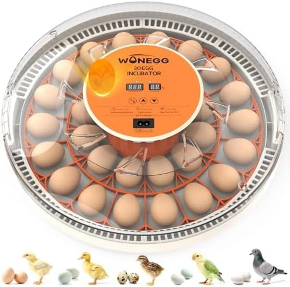 30 Incubators for Hatching Eggs, Egg Incubator with Automatic Egg Turning and Hu